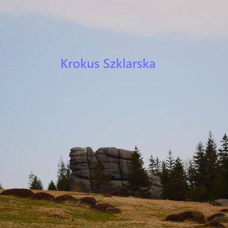 Apartament Krokus Szklarska شكلارسكا بوريبا المظهر الخارجي الصورة