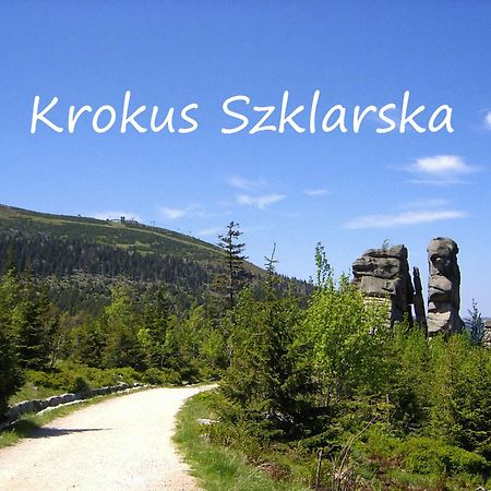 Apartament Krokus Szklarska شكلارسكا بوريبا المظهر الخارجي الصورة
