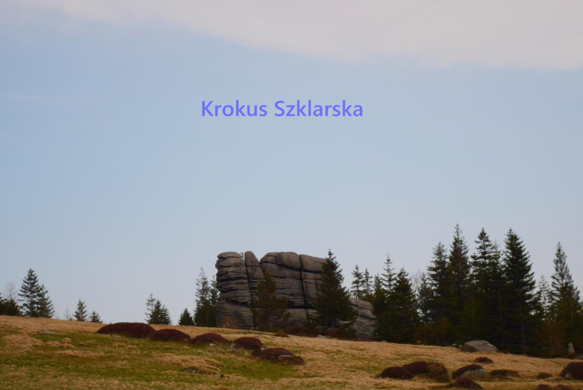 Apartament Krokus Szklarska شكلارسكا بوريبا المظهر الخارجي الصورة