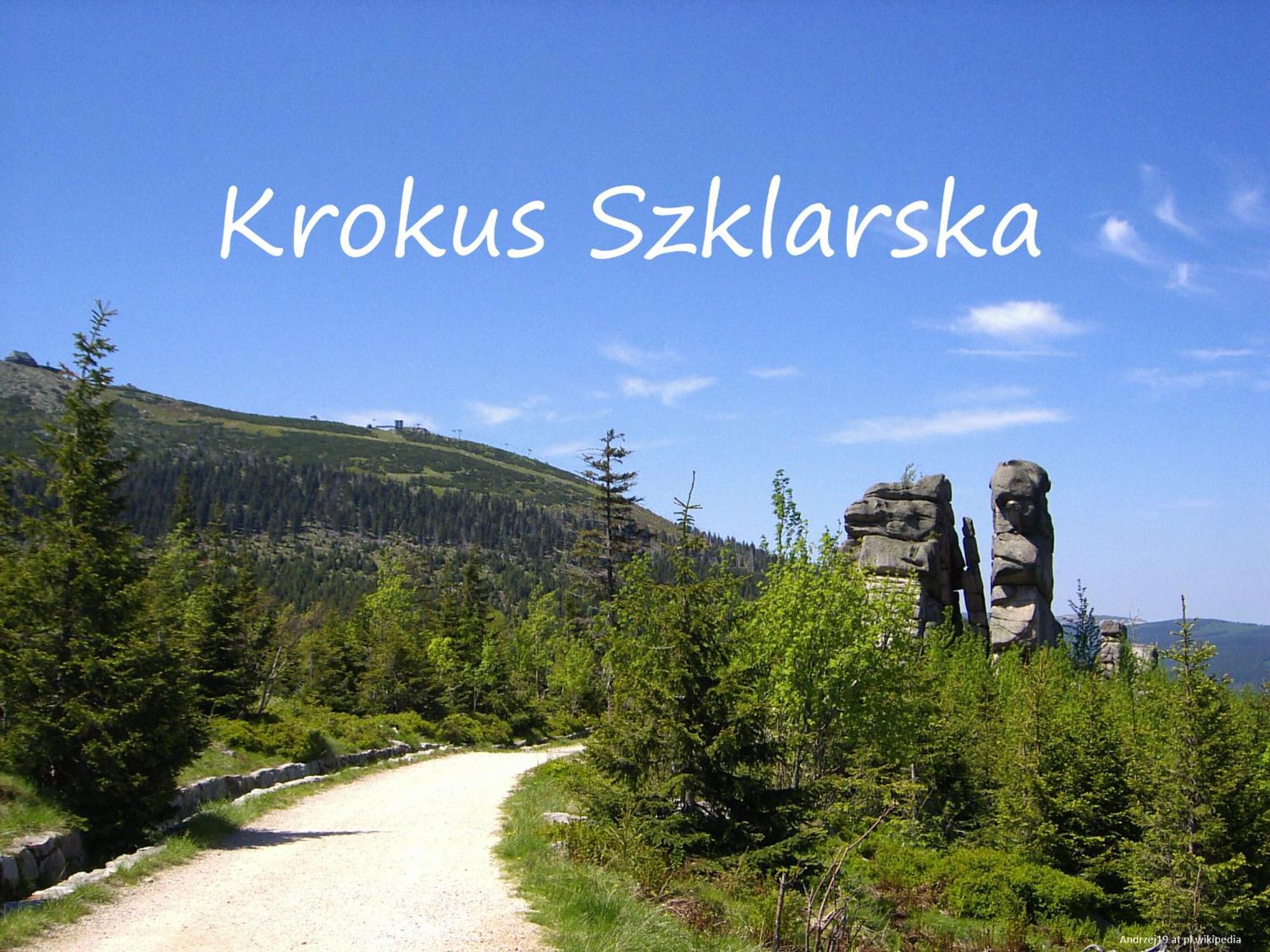 Apartament Krokus Szklarska شكلارسكا بوريبا المظهر الخارجي الصورة